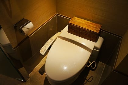Picture of Japanese Washlet for part two of the infamous Toilet Tour by Peter Chordas